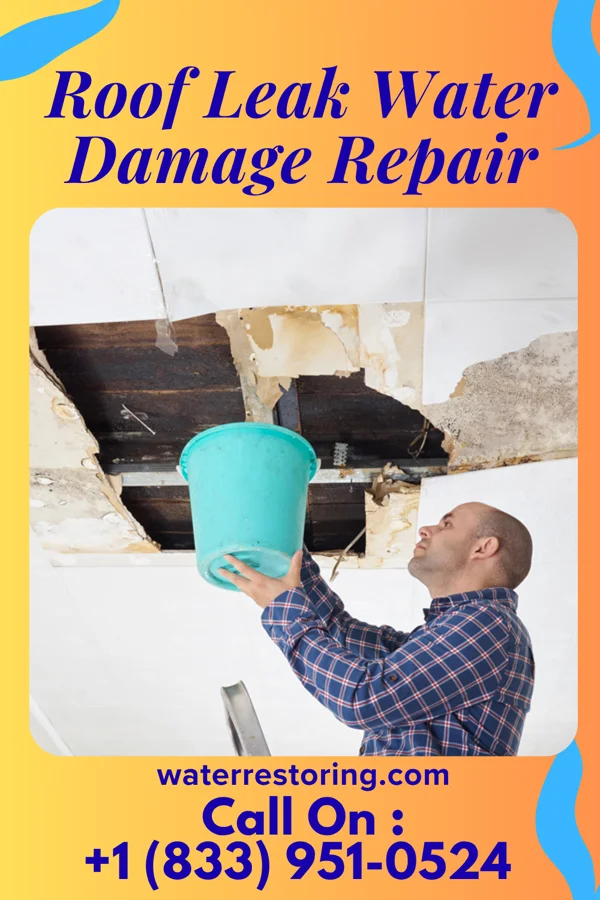 Roof Leak Water Damage Repair in Albion, ID